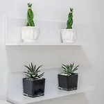 Bllok Moni Resilience 2bedr Terrace Appartement Tirana