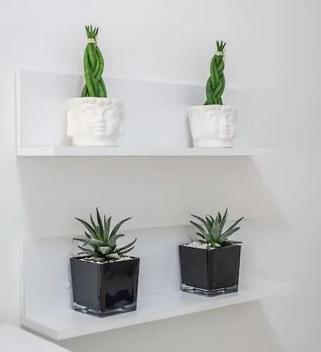 Bllok Moni Resilience 2bedr Terrace Appartamento Tirana